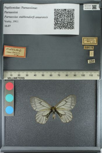 Media type: image;   Entomology 180124